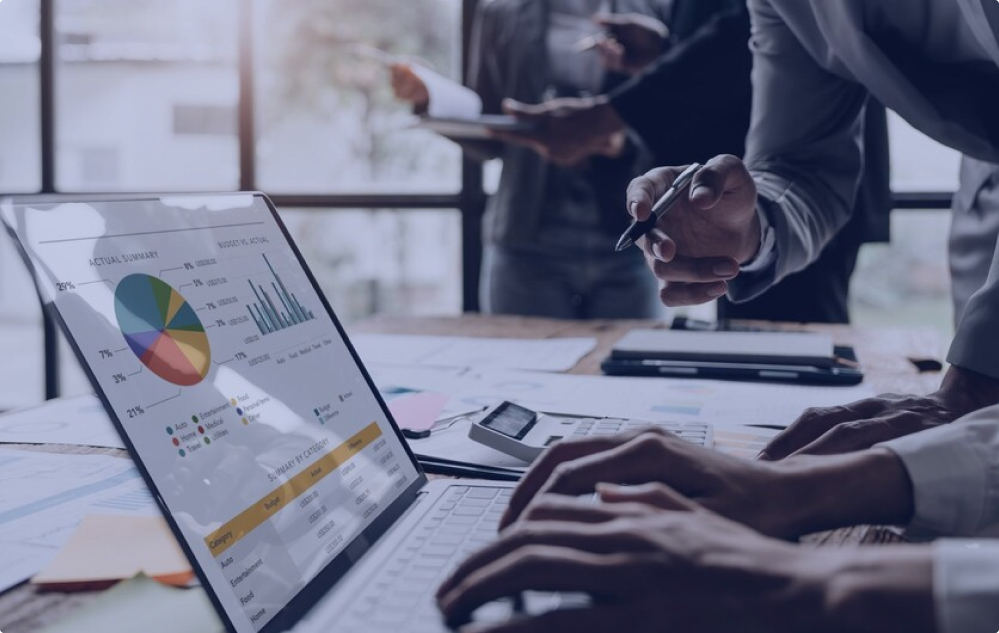 Grey Parrot Core Value